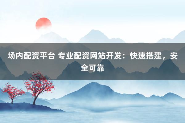 场内配资平台 专业配资网站开发：快速搭建，安全可靠