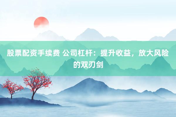 股票配资手续费 公司杠杆：提升收益，放大风险的双刃剑