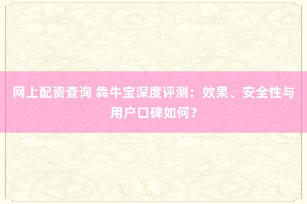 网上配资查询 犇牛宝深度评测：效果、安全性与用户口碑如何？