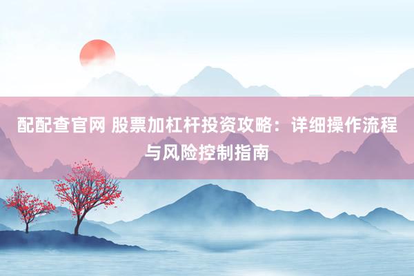 配配查官网 股票加杠杆投资攻略：详细操作流程与风险控制指南