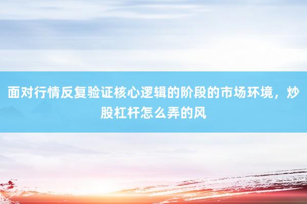 面对行情反复验证核心逻辑的阶段的市场环境，炒股杠杆怎么弄的风